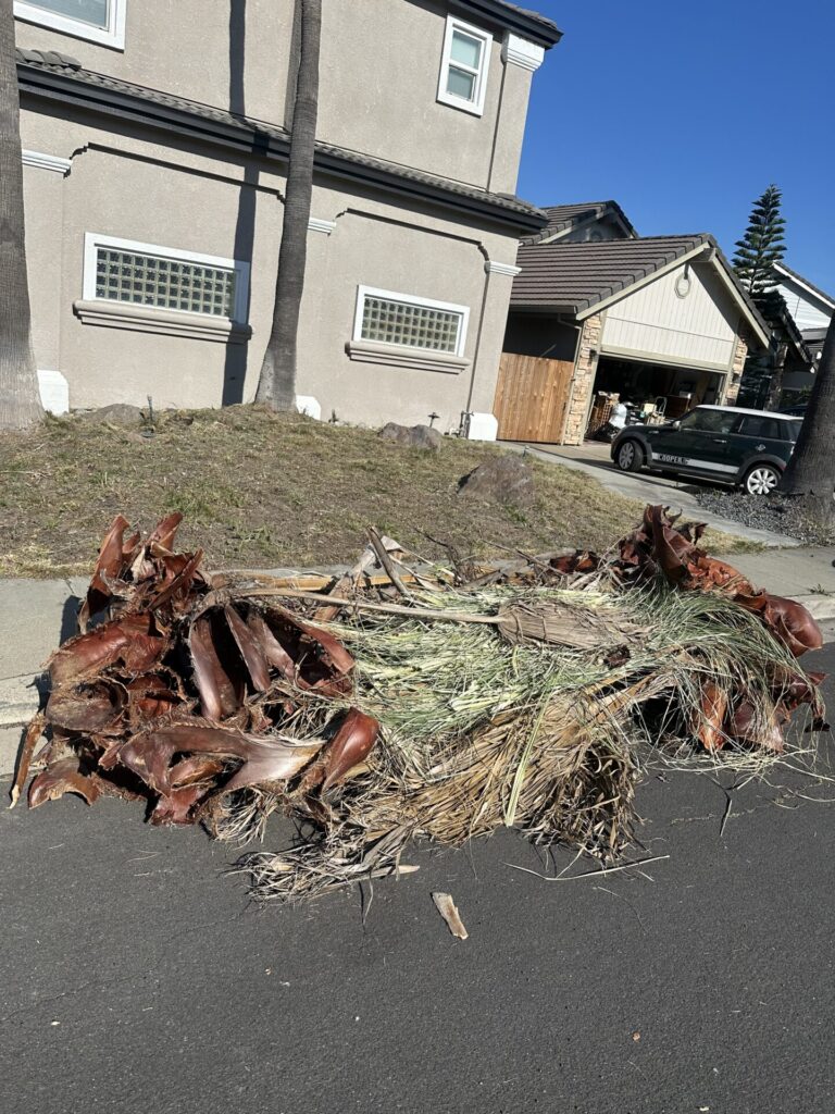 Concord Residential Junk Removal