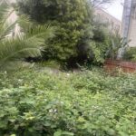 San Ramon Green Waste Removal