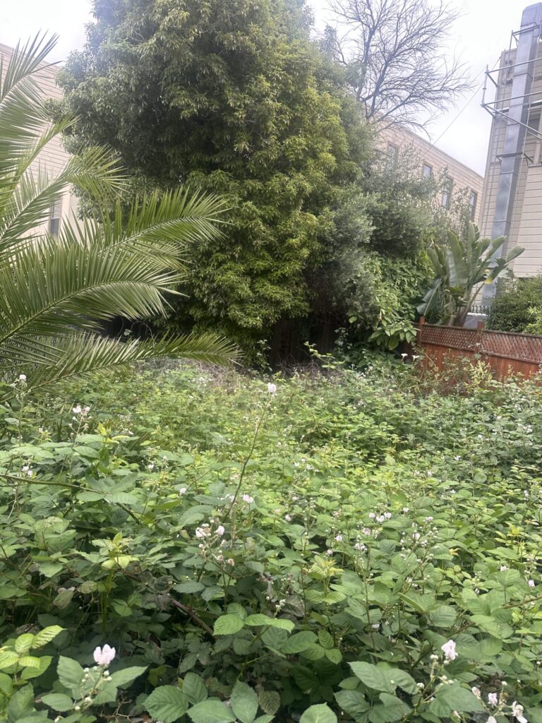 San Ramon Green Waste Removal