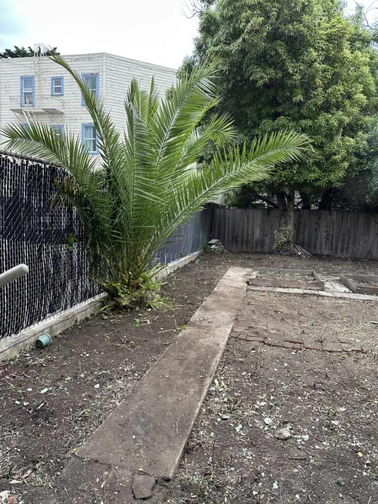 San Ramon Green Waste Removal